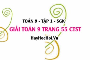 Giải Toán 9 trang 55 tập 1 Chân trời sáng tạo SGK